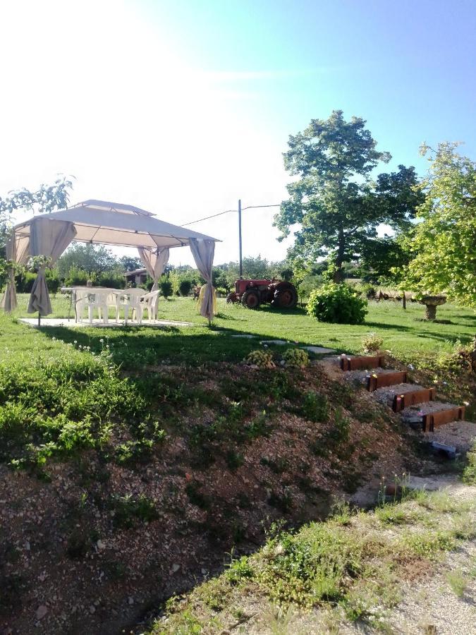 Casa Carducci Affittacamere Monteleto Εξωτερικό φωτογραφία