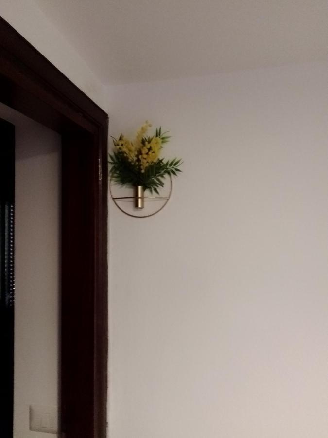 Casa Carducci Affittacamere Monteleto Εξωτερικό φωτογραφία