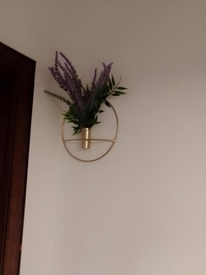 Casa Carducci Affittacamere Monteleto Εξωτερικό φωτογραφία